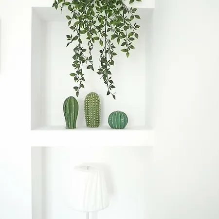 Mood Caldas & Ocean Daire